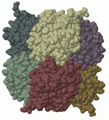 Image Biol.Unit 1 - manually