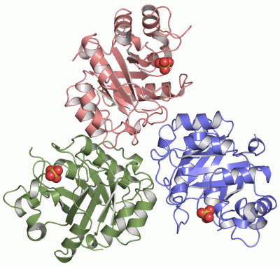 Image Asym.Unit - manually