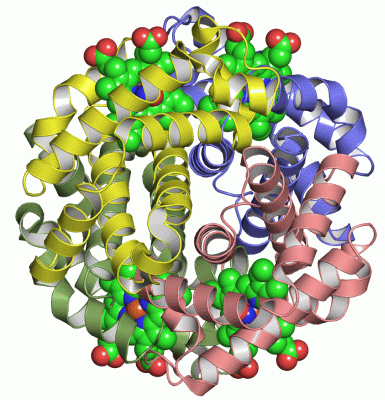 Image Asym./Biol. Unit - manually