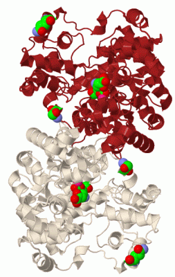 Image Biol.Unit 1 - manually