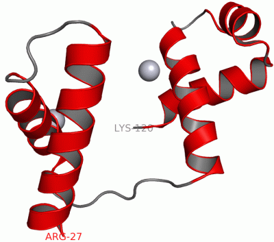 Image Asym.Unit - manually