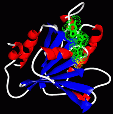 Image Asym./Biol. Unit - manually