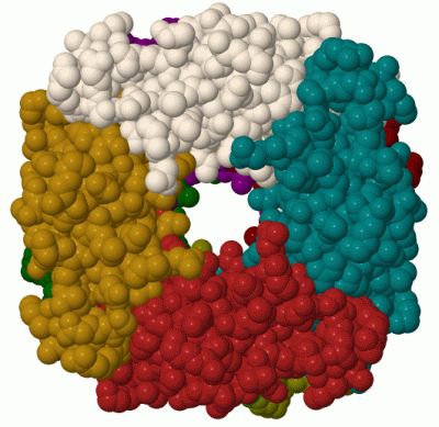 Image Biol.Unit 1 - manually