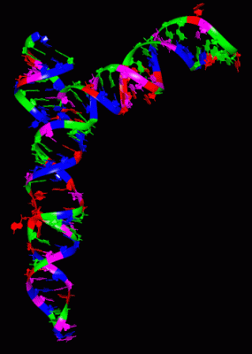 Image Theor.Model - manually