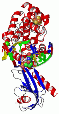 Image Asym./Biol. Unit - manually