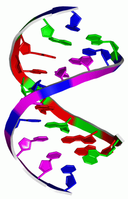 Image NMR Structure - manually