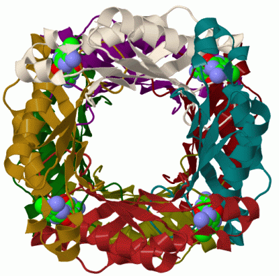 Image Biol.Unit 1 - manually