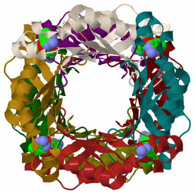 Image Biol.Unit 1 - manually