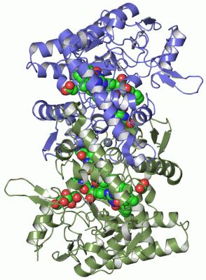 Image Asym./Biol. Unit - manually