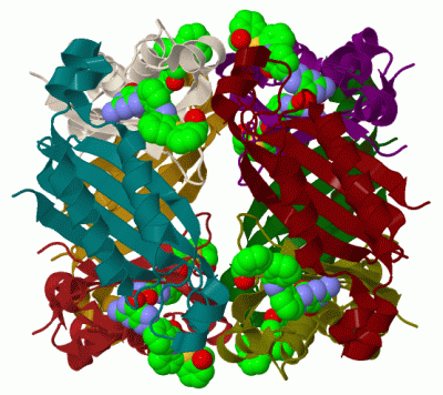 Image Biol.Unit 1 - manually