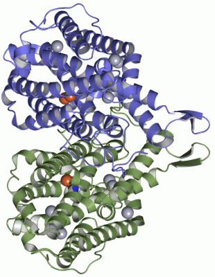 Image Asym./Biol. Unit - manually