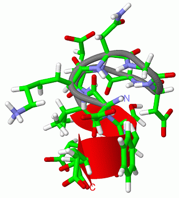 Image NMR Structure - manually