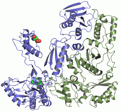 Image Asym./Biol. Unit - manually