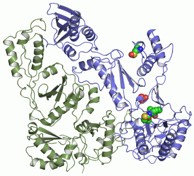 Image Asym./Biol. Unit - manually