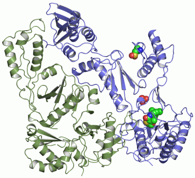 Image Asym./Biol. Unit - manually