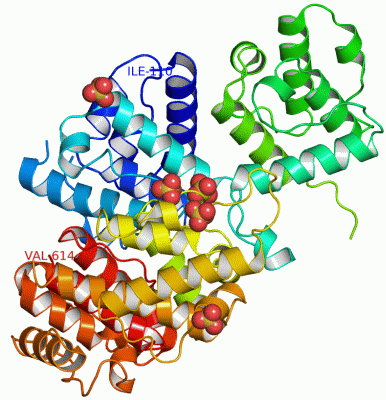 Image Asym./Biol. Unit - manually