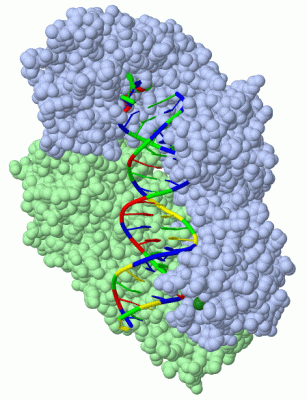 Image Biol.Unit 1 - manually