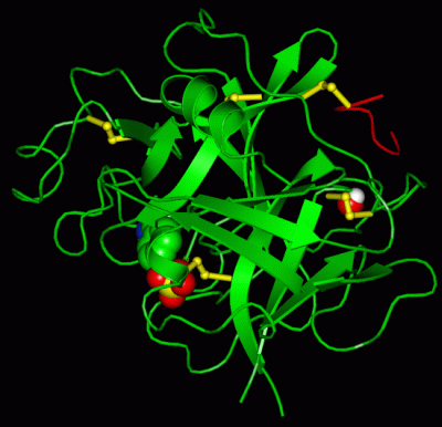 Image Asym./Biol. Unit - manually