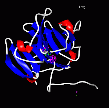 Image Asym./Biol. Unit - manually