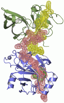 Image Asym./Biol. Unit - manually