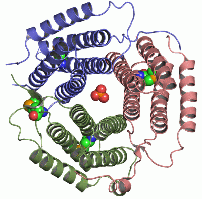 Image Asym./Biol. Unit - manually