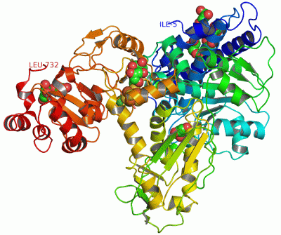 Image Asym./Biol. Unit - manually