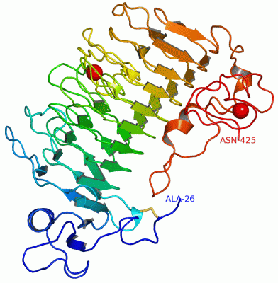 Image Asym./Biol. Unit - manually