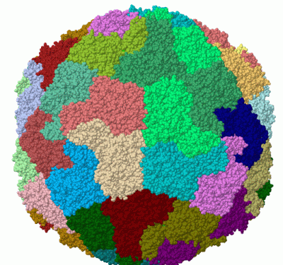 Image Biol.Unit 1 - manually