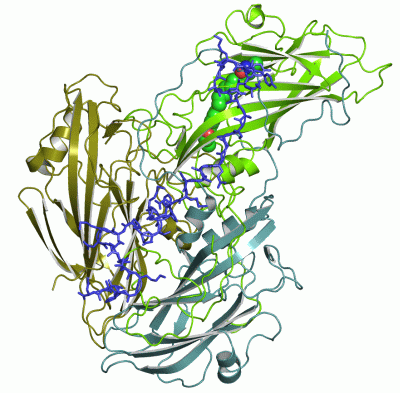 Image Asym.Unit - manually