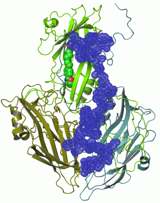 Image Asym.Unit - manually