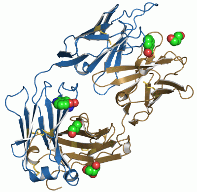 Image Asym./Biol. Unit - manually