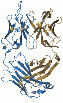 Image Asym./Biol. Unit - manually
