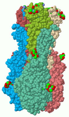 Image Asym./Biol. Unit - manually