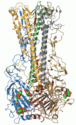 Image Asym./Biol. Unit - manually