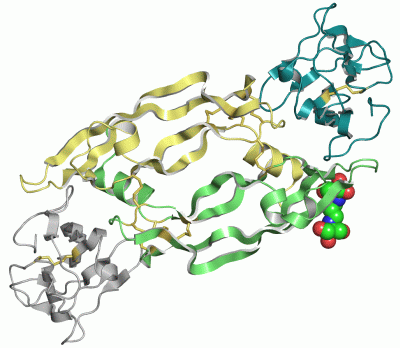 Image Asym./Biol. Unit - manually