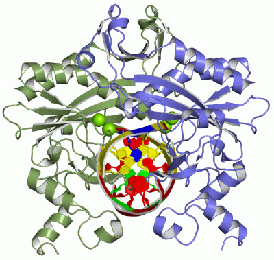 Image Asym./Biol. Unit - manually