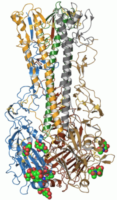 Image Asym./Biol. Unit - manually