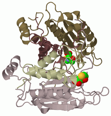 Image Biol.Unit 1 - manually