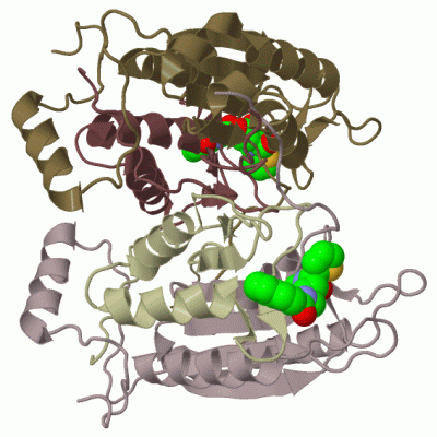 Image Biol.Unit 1 - manually