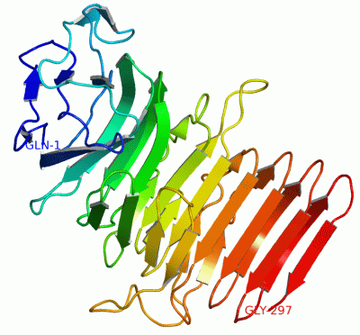 Image Asym./Biol. Unit - manually