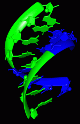 Image Biol.Unit 1 - manually