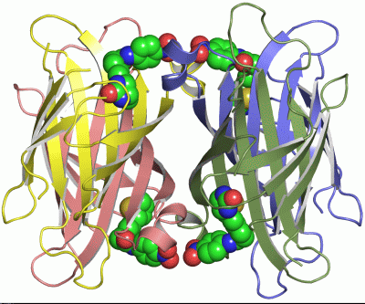 Image Asym./Biol. Unit - manually