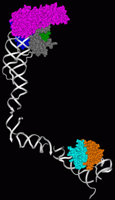 Image Asym./Biol. Unit - manually