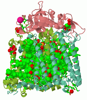 Image Asym./Biol. Unit - manually