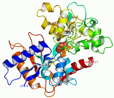 Image Asym./Biol. Unit - manually