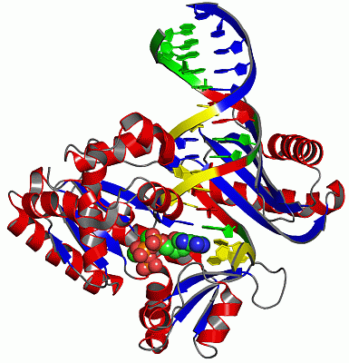 Image Asym./Biol. Unit - manually