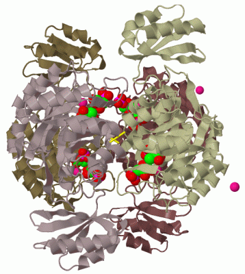 Image Biol.Unit 1 - manually