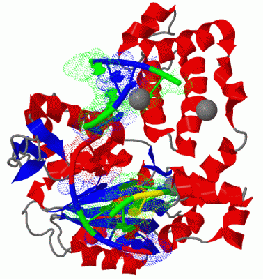 Image Biol.Unit 1 - manually