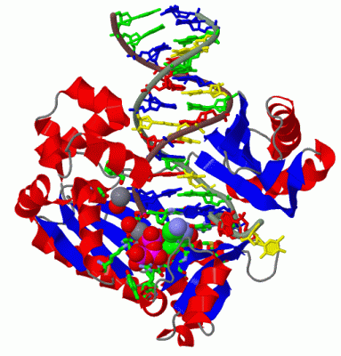 Image Asym./Biol. Unit - manually