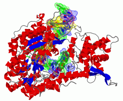 Image Biol.Unit 1 - manually